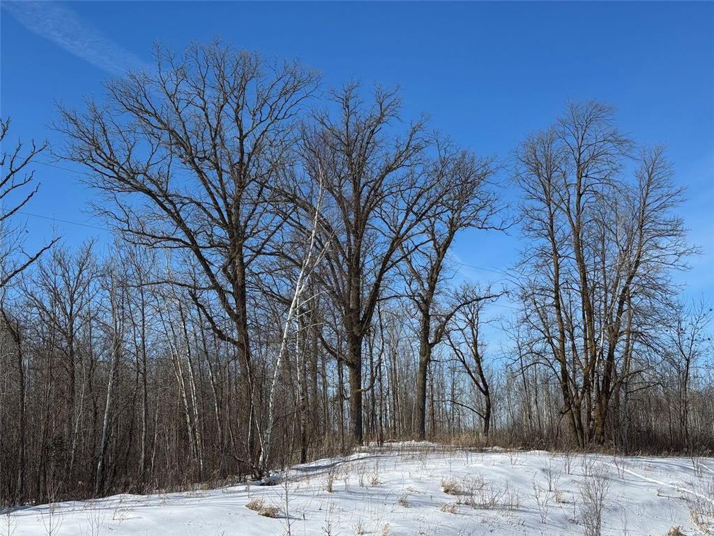15a Hines Road NE Hines Twp MN 56630 6674520 image1