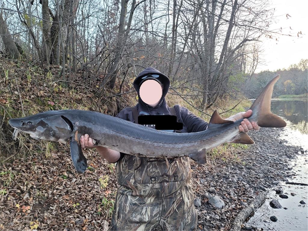 15xxx Lofty Pines Road Pine City Twp MN 55063 - Snake River 6821517 image11