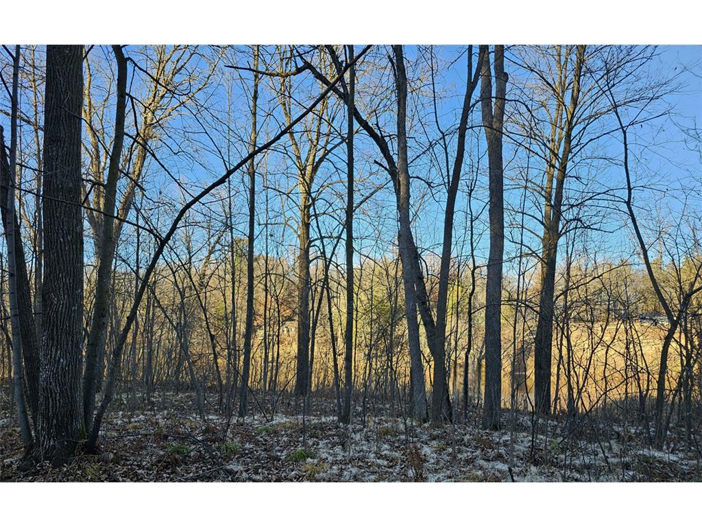 15xxx Lofty Pines Road Pine City Twp MN 55063 - Snake River 6821517 image13