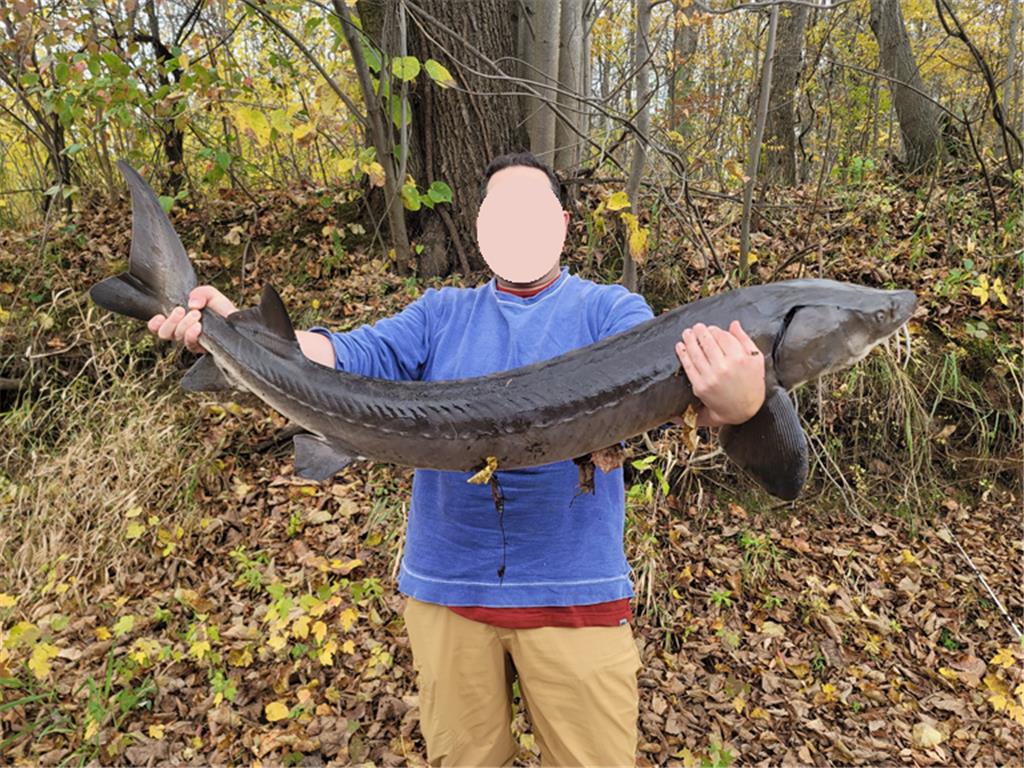 15xxx Lofty Pines Road Pine City Twp MN 55063 - Snake River 6821517 image3