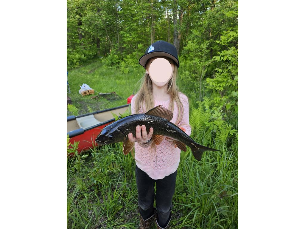 15xxx Lofty Pines Road Pine City Twp MN 55063 - Snake River 6821517 image4