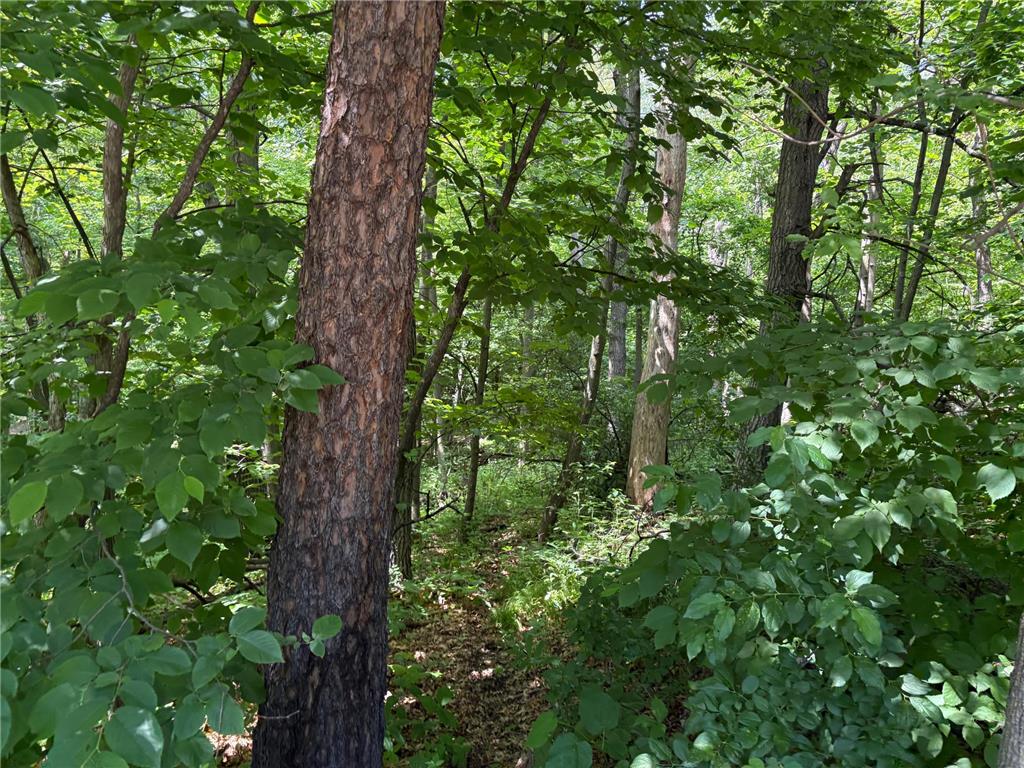 15xxx Riverside Drive Brainerd MN 56401 6727229 image10