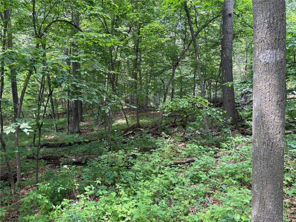 15xxx Riverside Drive Brainerd MN 56401 6727229 image11