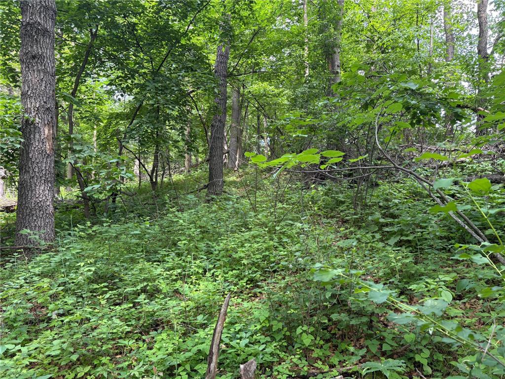 15xxx Riverside Drive Brainerd MN 56401 6727229 image12