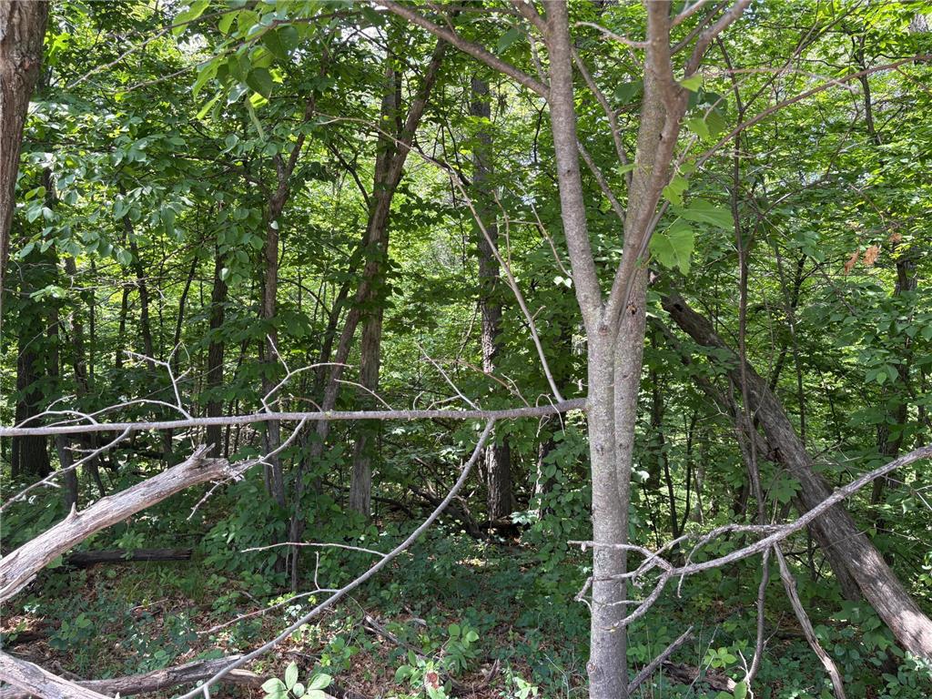 15xxx Riverside Drive Brainerd MN 56401 6727229 image7