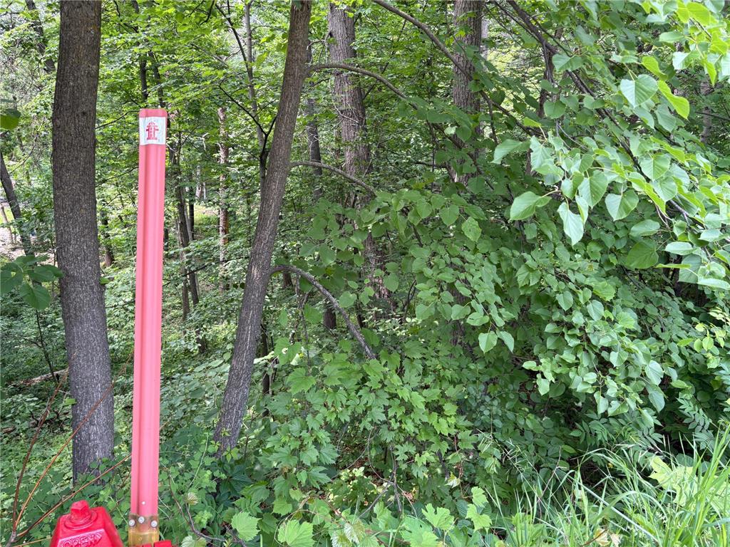 15xxx Riverside Drive Brainerd MN 56401 6727229 image9