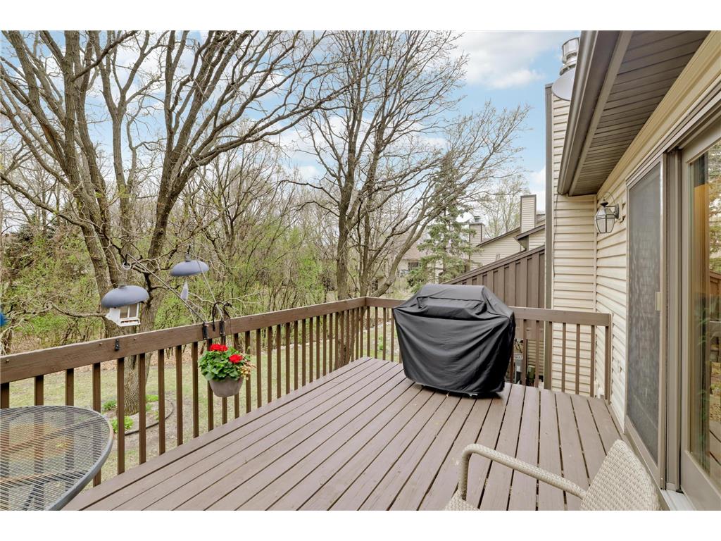 16 110th Lane NW Coon Rapids MN 55448 7062577 image32