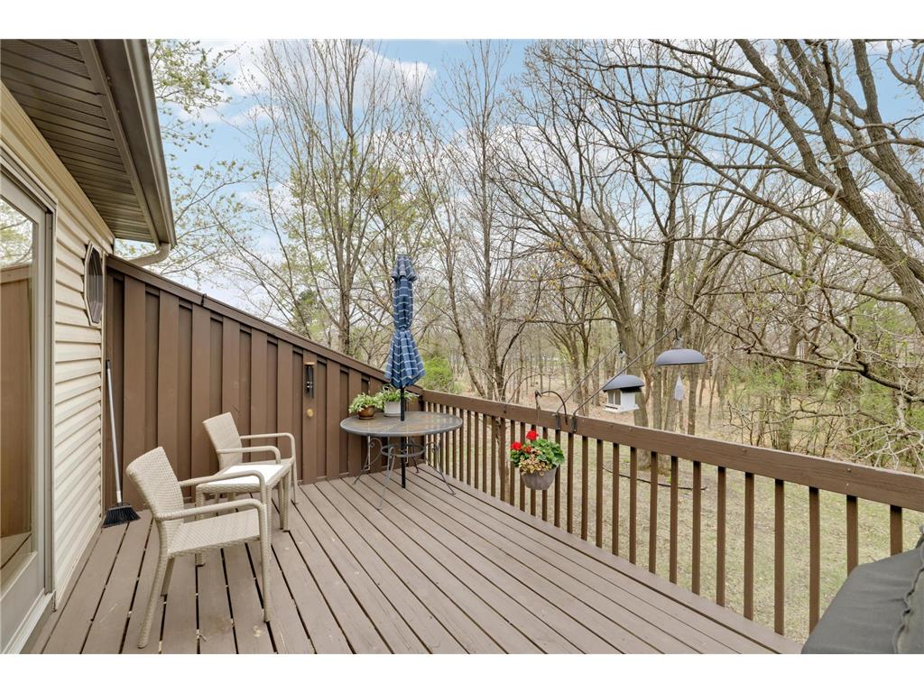 16 110th Lane NW Coon Rapids MN 55448 7062577 image33