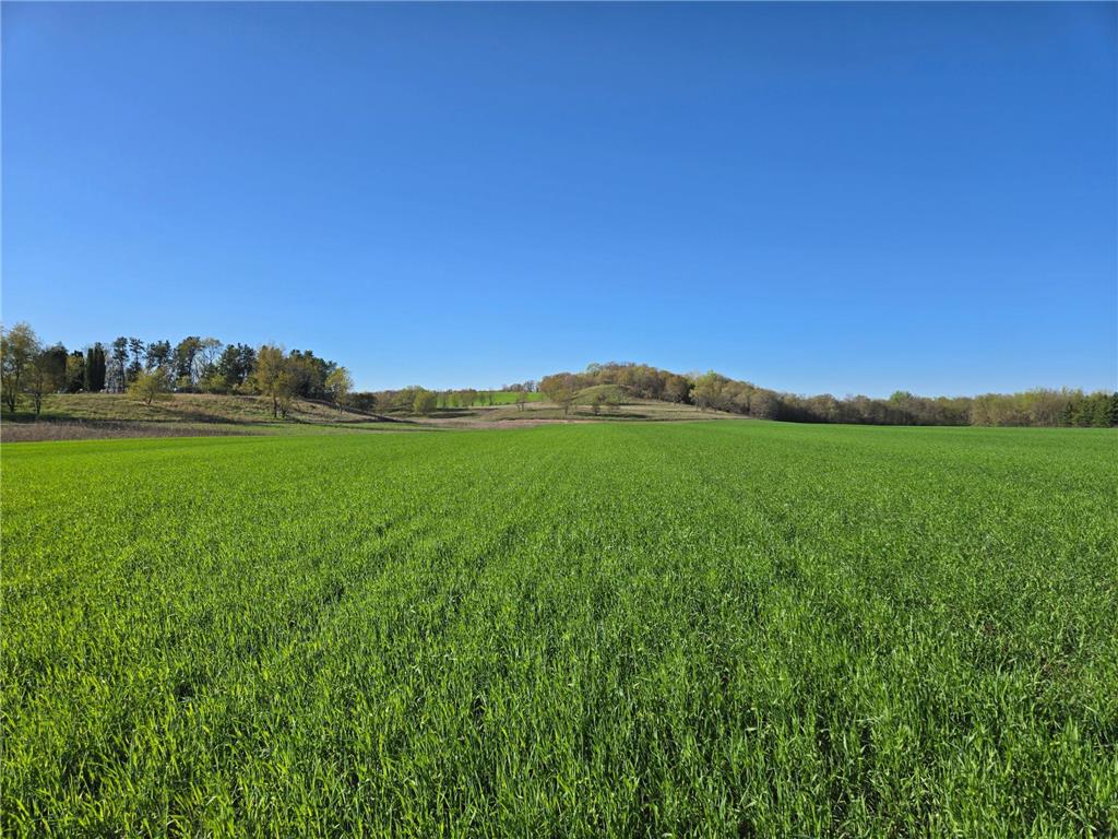 16.74 acres County Road N Hay River Twp WI 54772 6721213 image1
