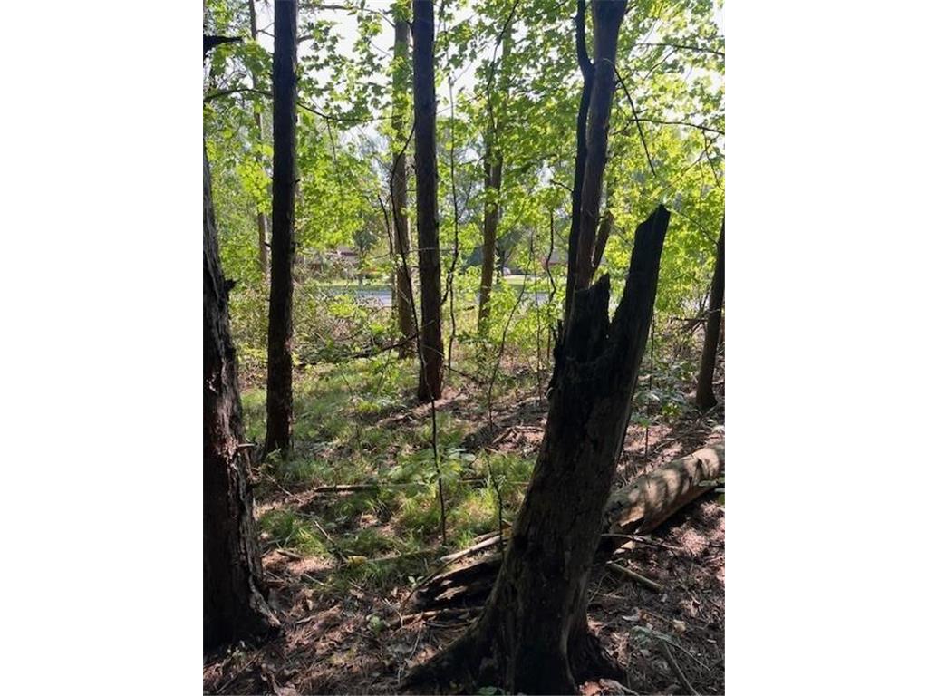 16 County Road B Spring Valley WI 54028 6602524 image1