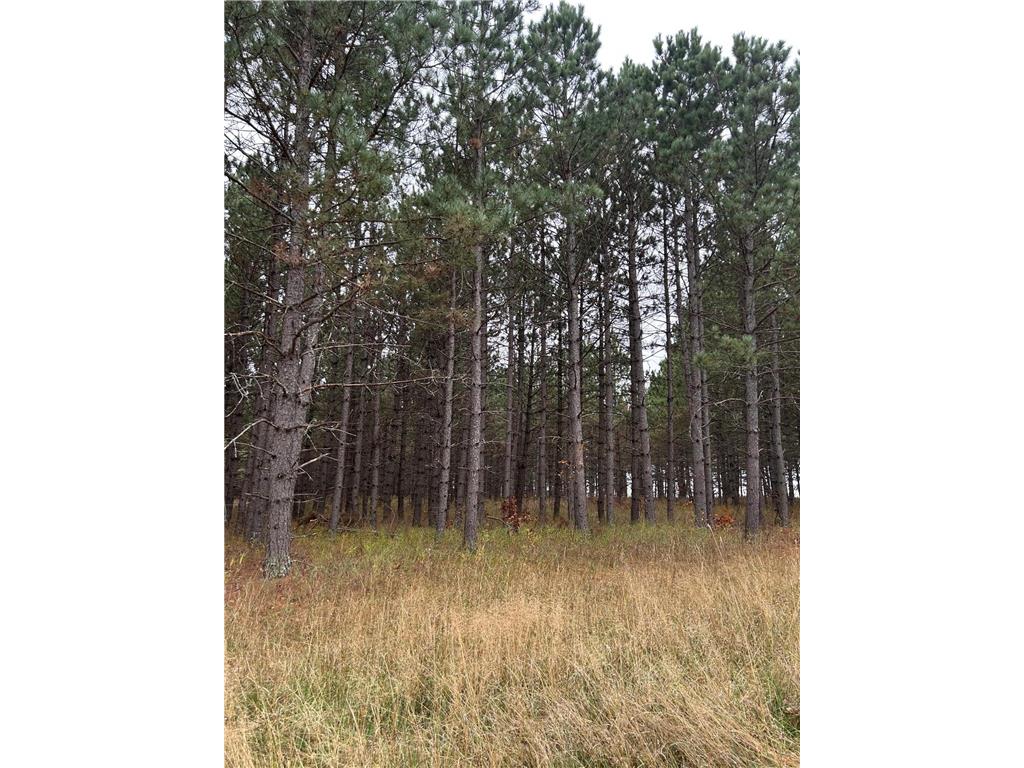 160 AC Basswood Lake Road Forest Twp MN 56575 6811455 image10