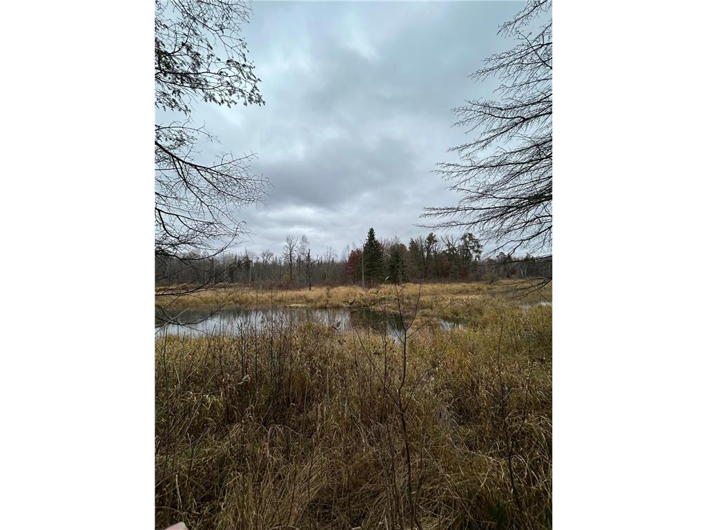 160 AC Basswood Lake Road Forest Twp MN 56575 6811455 image11