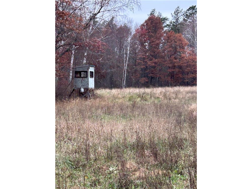 160 AC Basswood Lake Road Forest Twp MN 56575 6811455 image12