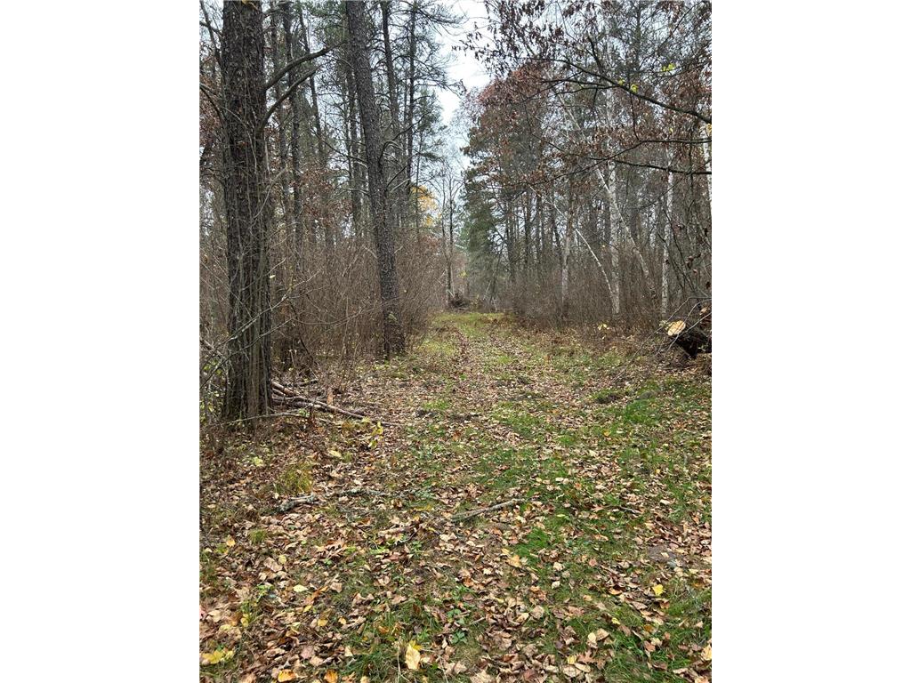 160 AC Basswood Lake Road Forest Twp MN 56575 6811455 image13