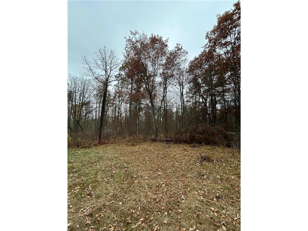 160 AC Basswood Lake Road Forest Twp MN 56575 6811455 image15