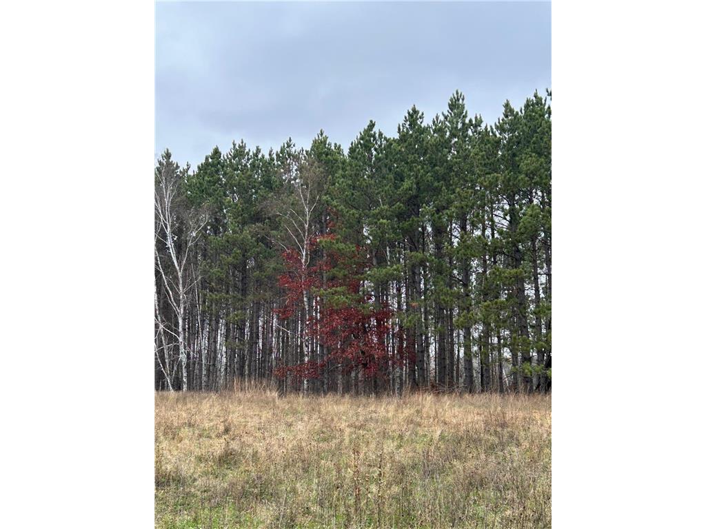 160 AC Basswood Lake Road Forest Twp MN 56575 6811455 image2