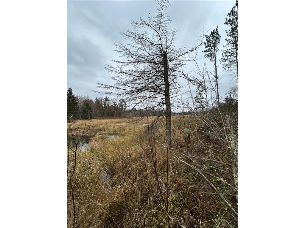 160 AC Basswood Lake Road Forest Twp MN 56575 6811455 image3