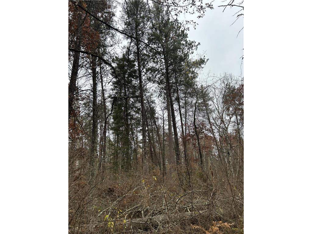 160 AC Basswood Lake Road Forest Twp MN 56575 6811455 image4