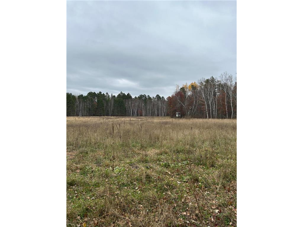 160 AC Basswood Lake Road Forest Twp MN 56575 6811455 image5