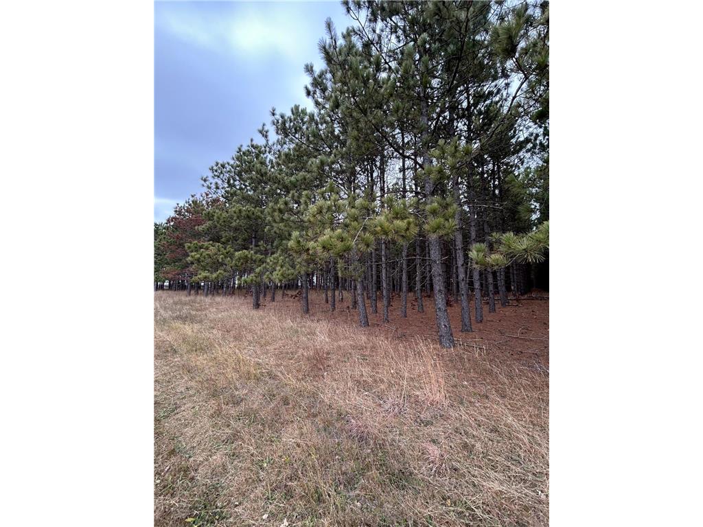 160 AC Basswood Lake Road Forest Twp MN 56575 6811455 image9