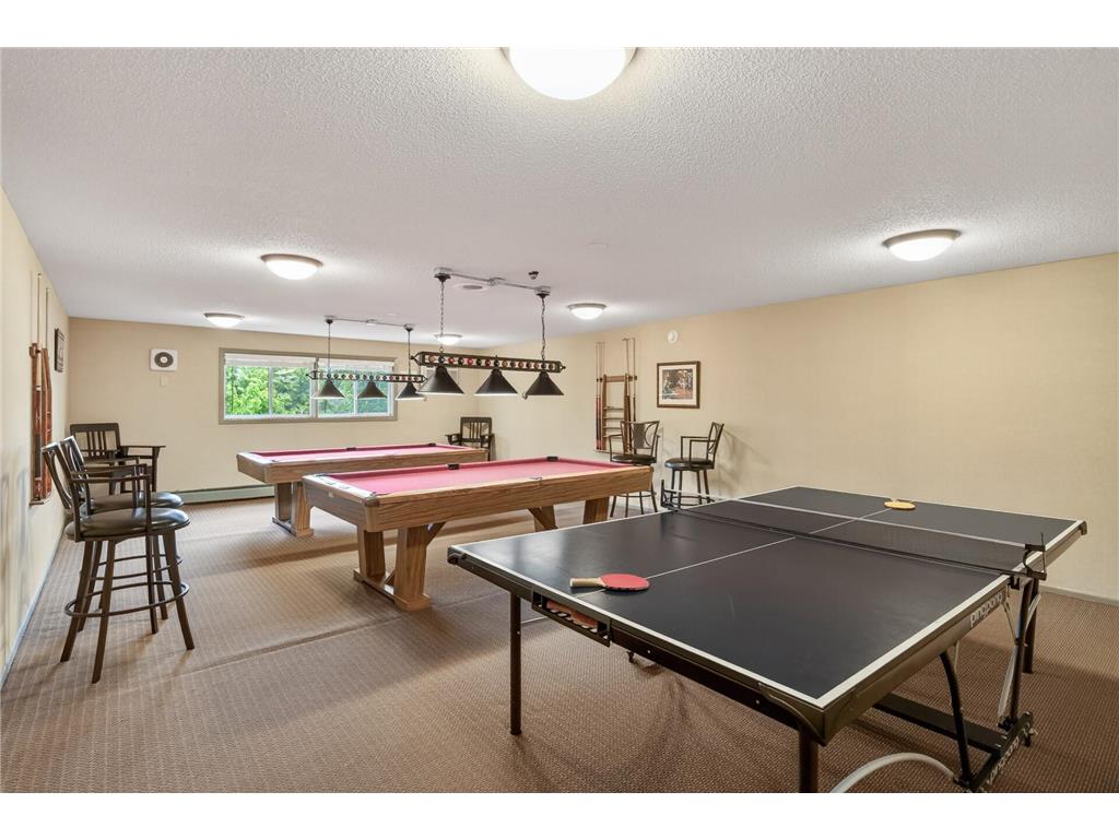 1601 N Innsbruck Drive #379 Fridley MN 55432 7075825 image19