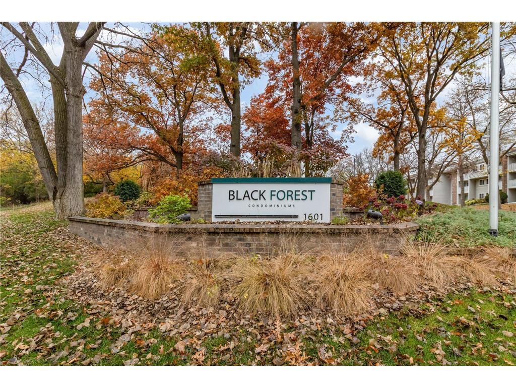 1601 N Innsbruck Drive NE #123 Fridley MN 55432 7054070 image1
