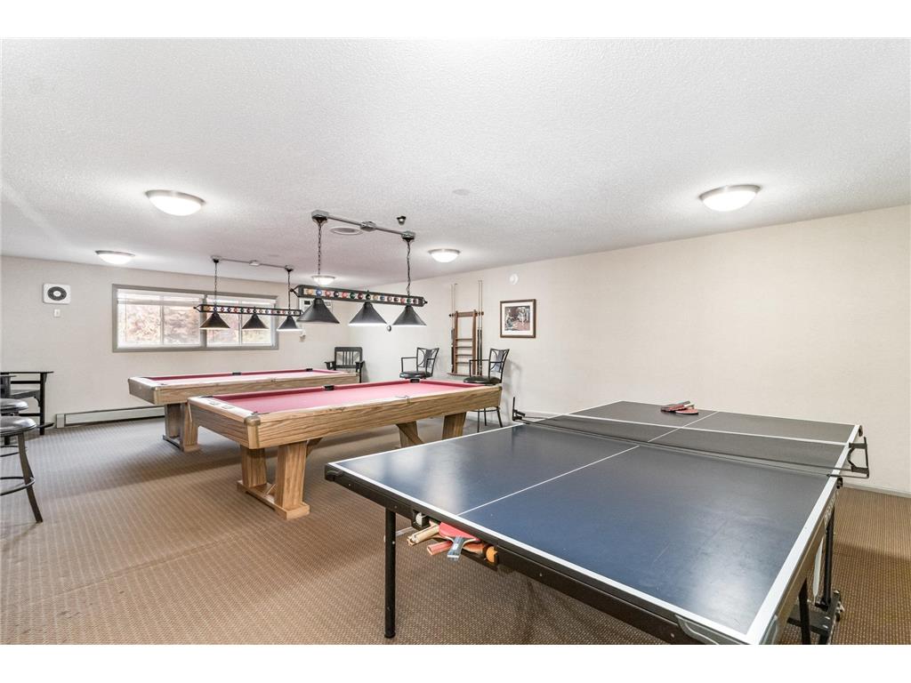 1601 N Innsbruck Drive NE #123 Fridley MN 55432 7054070 image11