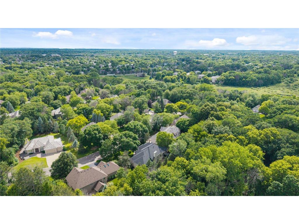 16010 45th Avenue N Plymouth MN 55446 7103335 image6