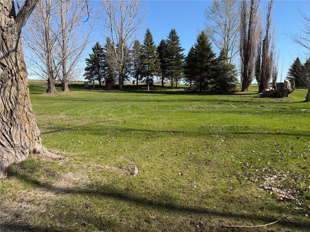 16011 217th Street Lien Twp MN 56311 - Barrett 7069939 image16