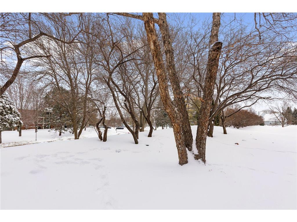 1603 Raindrop Drive Eagan MN 55121 7007009 image31