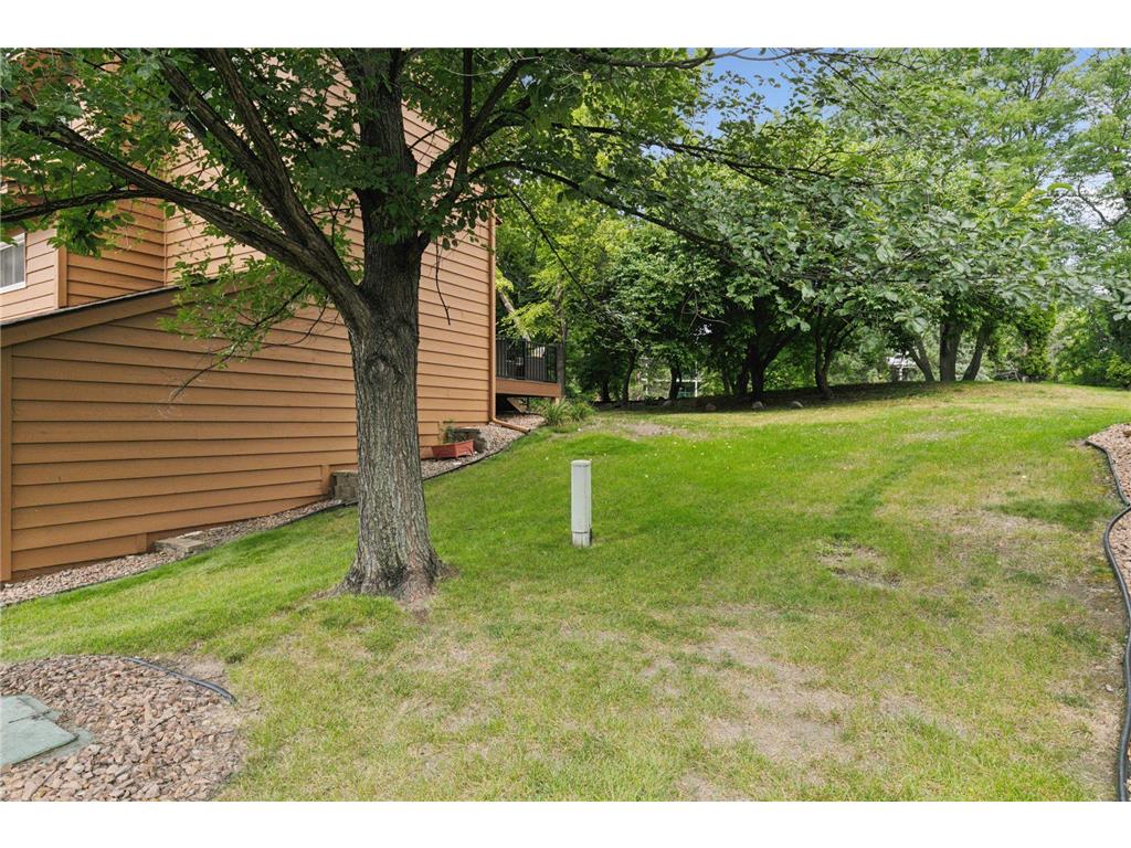 1603 Raindrop Drive Eagan MN 55121 7007009 image38