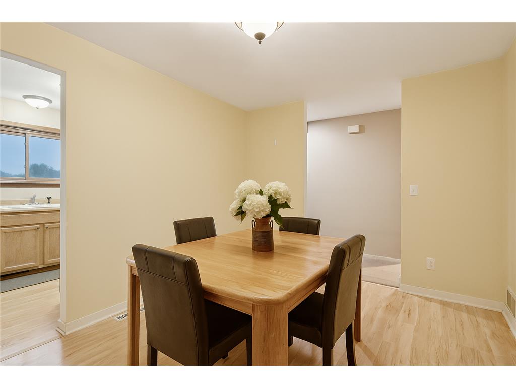 1603 Raindrop Drive Eagan MN 55121 7007009 image7