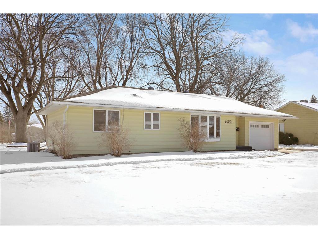 1603 Tyler Street Hastings MN 55033 7034814 image1