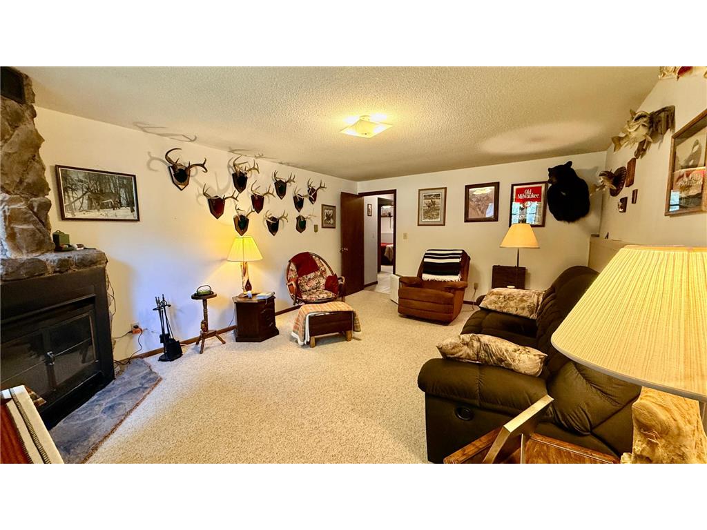 16038 Discovery Circle Park Rapids MN 56470 7111164 image10