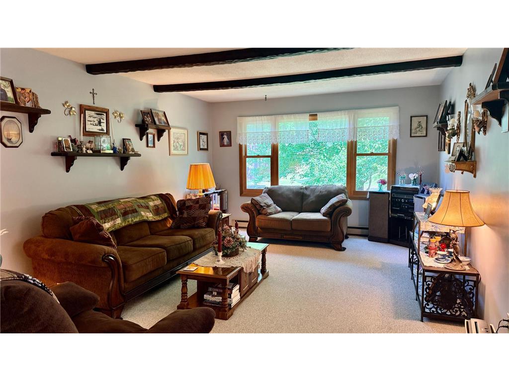 16038 Discovery Circle Park Rapids MN 56470 7111164 image4