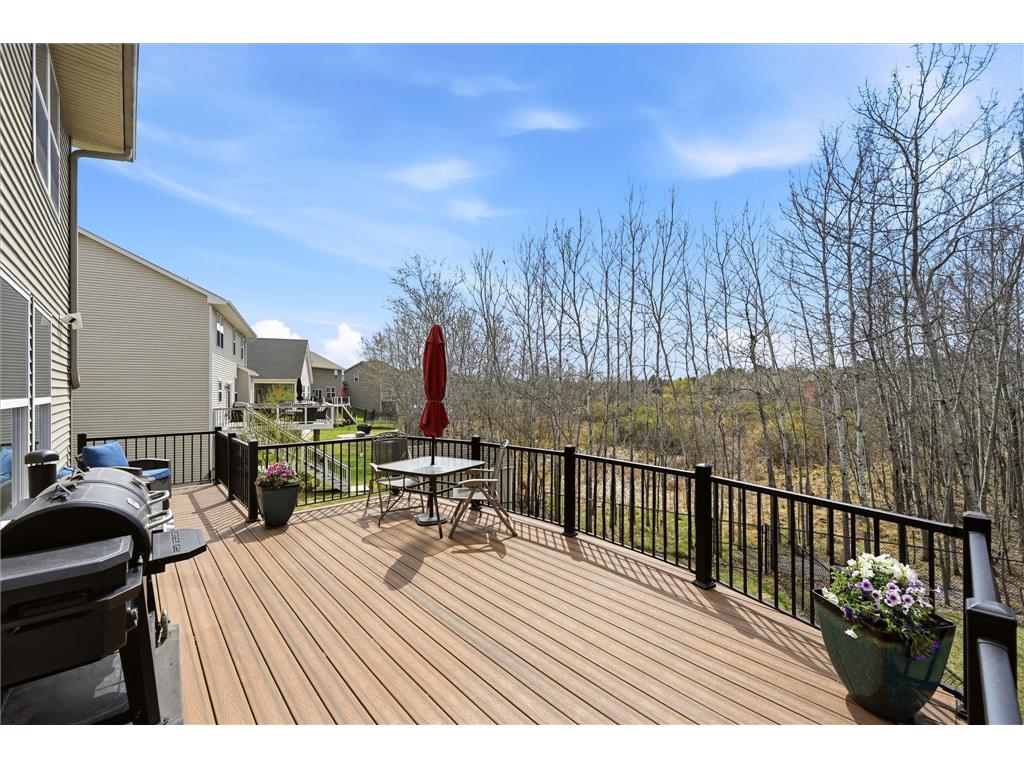 16048 Sapphire Street NW Ramsey MN 55303 7052736 image43