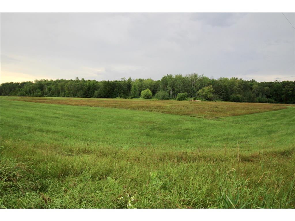 16050 280th Street Meadow Twp MN 56477 6760922 image34