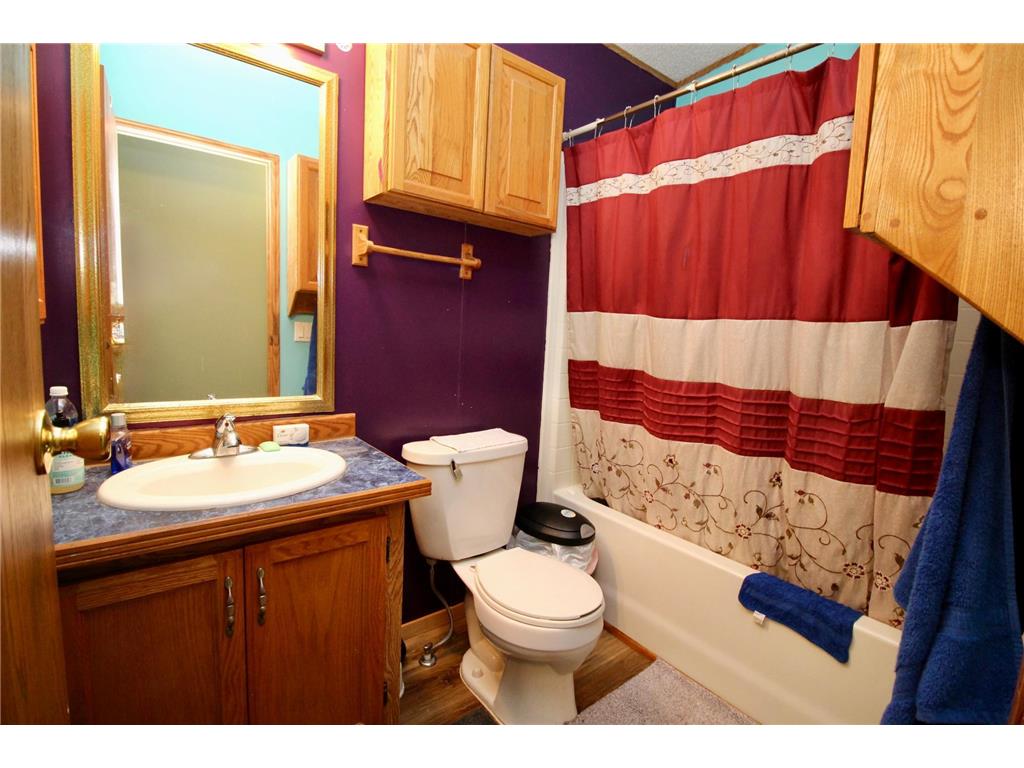 16050 280th Street Meadow Twp MN 56477 7038361 image29