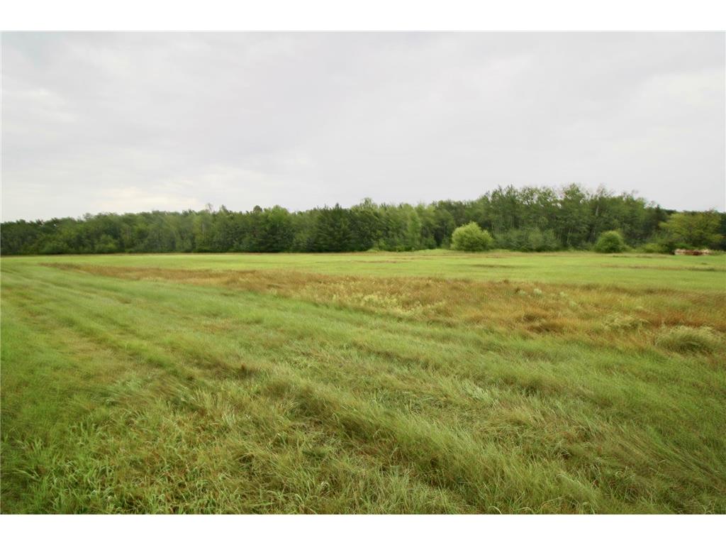 16050 280th Street Meadow Twp MN 56477 7038361 image41