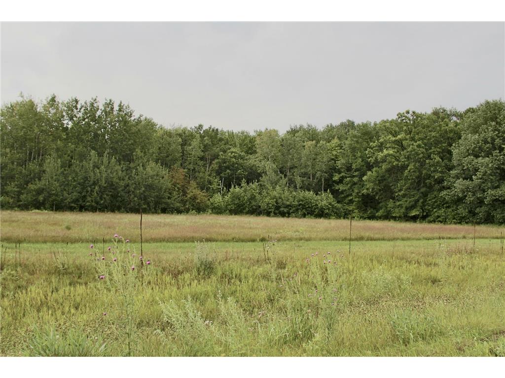 16050 280th Street Meadow Twp MN 56477 7038361 image44