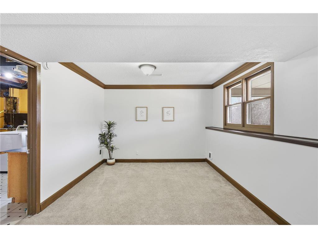 16062 Jenkins Street NE Ham Lake MN 55304 7061345 image24