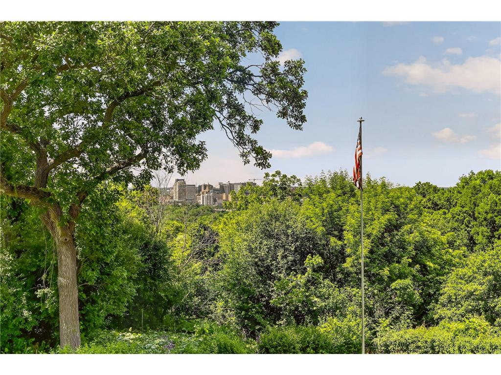 1607 Wilshire Court NE Rochester MN 55906 7063463 image17