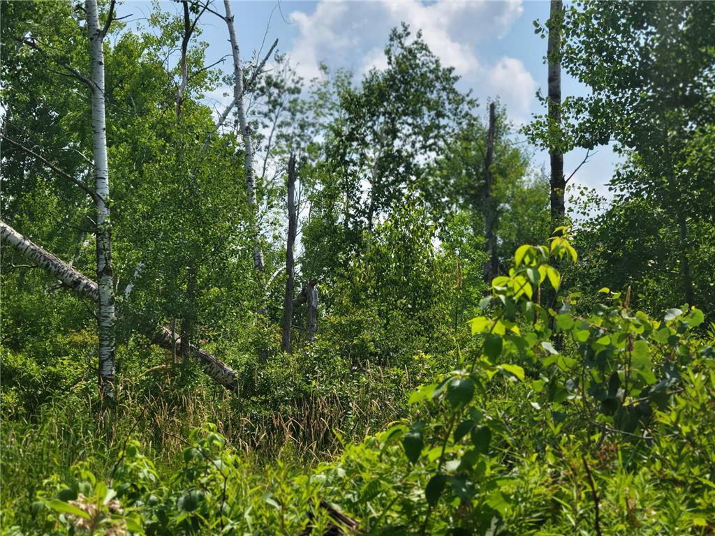 1608 30th Street Beaver Twp WI 54889 6404116 image1