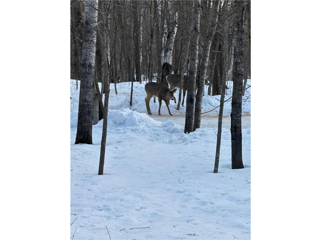 16083 Pahkala Road Finlayson MN 55735 7028606 image40
