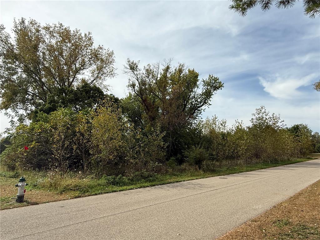 1609 Country Club Road Albert Lea MN 56007 6793704 image1