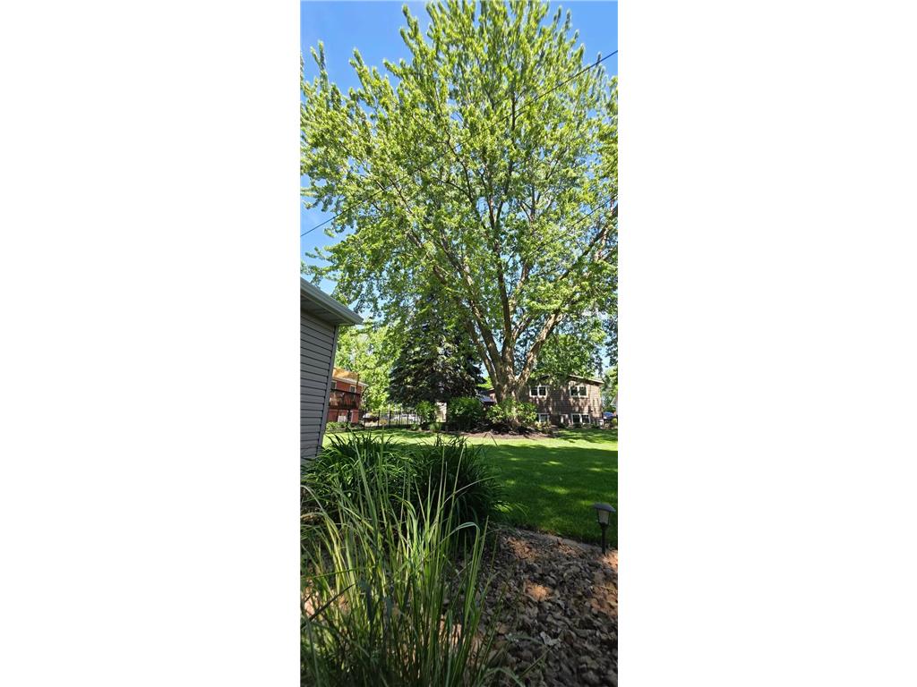 1609 Garfield Avenue Albert Lea MN 56007 7087331 image12