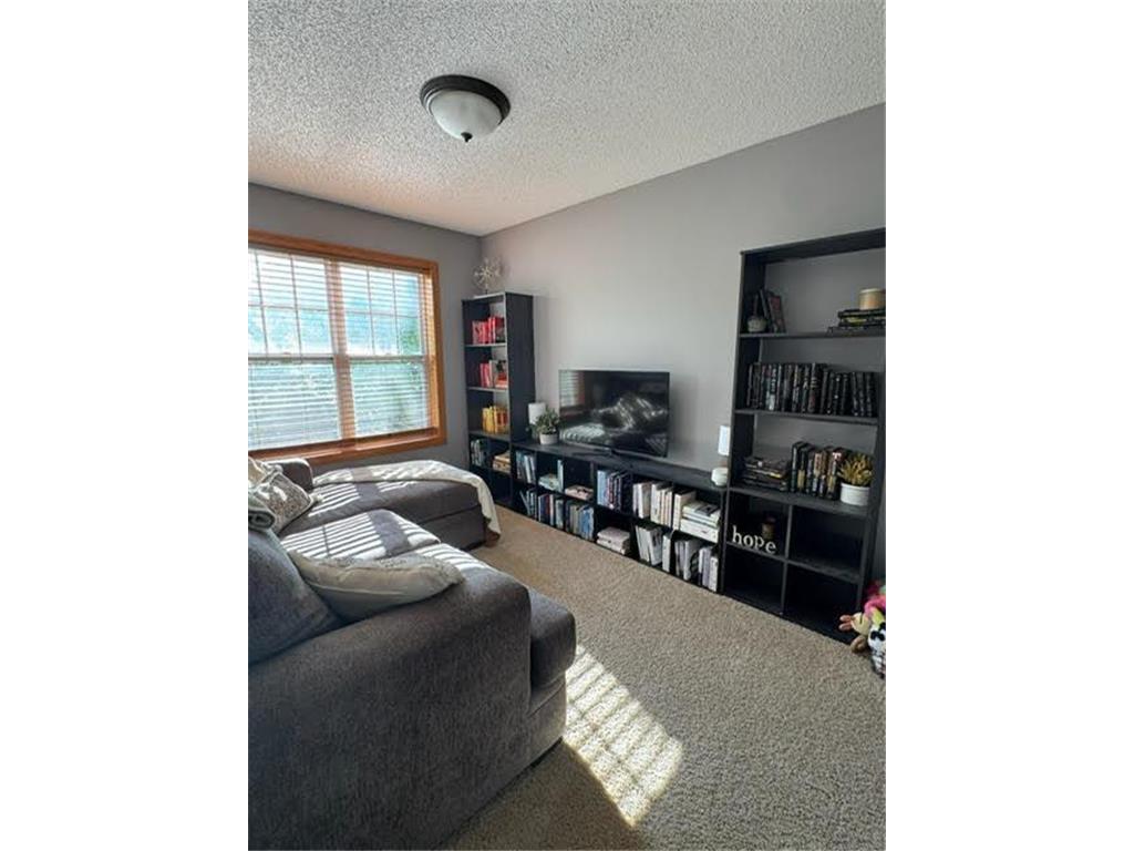 1609 Independence Drive #910 Northfield MN 55057 7069687 image46