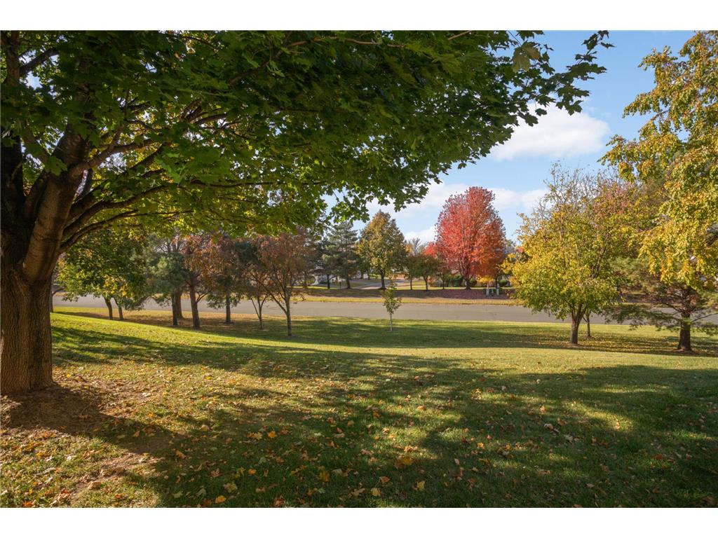 16093 71st Lane NE Otsego MN 55330 7050152 image24