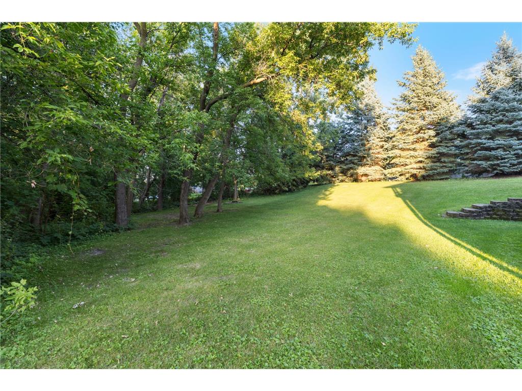 16096 Harmony Path Lakeville MN 55044 7104956 image4