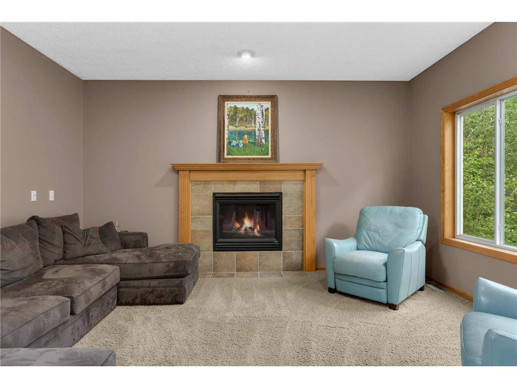 16098 Kennard Court Lakeville MN 55044 7072486 image13